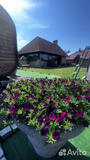 Баня на дровах с бассейном,беседка