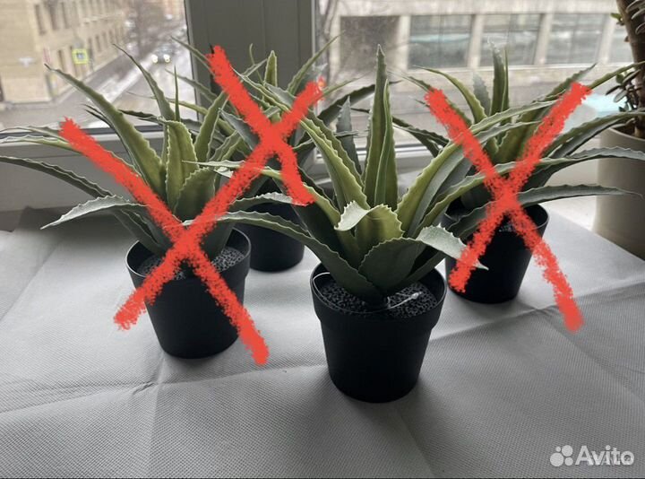 Искусственные цветы IKEA