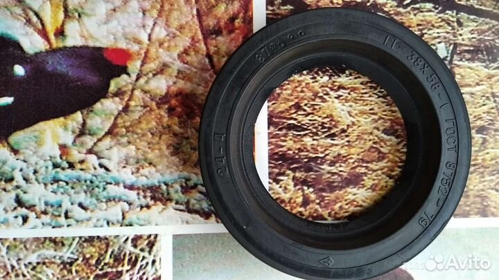 Сальники 38 58-1