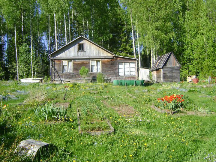 Дача 30 м² на участке 11 сот.