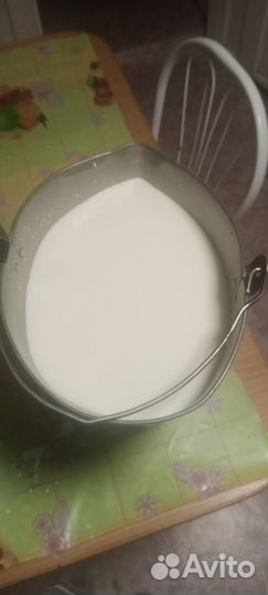 Продам молодую корову