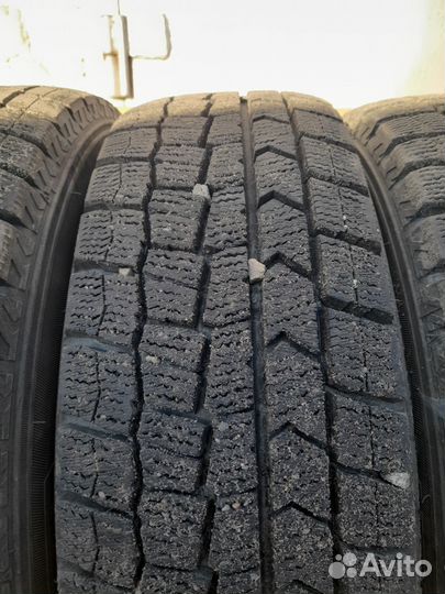 Dunlop Winter Maxx 175/65 R14