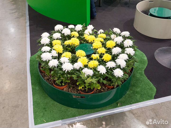 Крышка клумба для септика