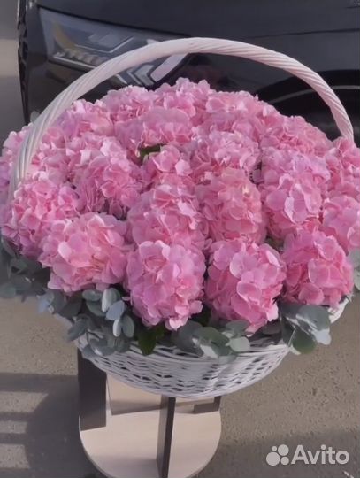 Гортензия крупнолистная