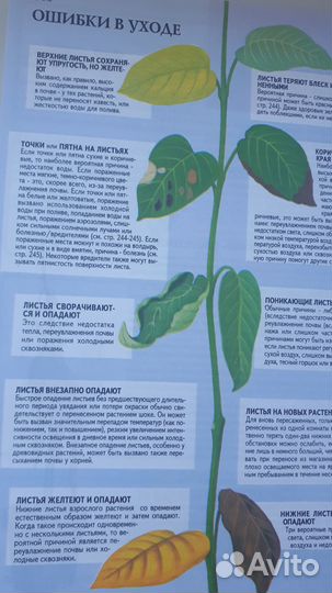 Д-р Д. Г. Хессайон. Всё о комнатных растениях