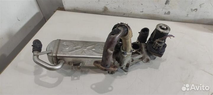 Радиатор EGR 03L131512CF 2.0 TDI Volkswagen