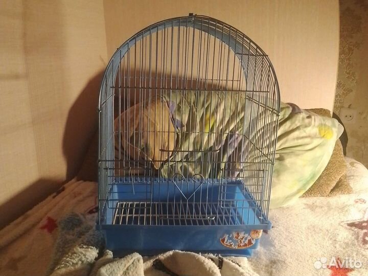 Клетка для волнистого попугая