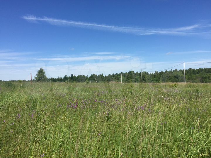 Участок 10 сот. (ИЖС)