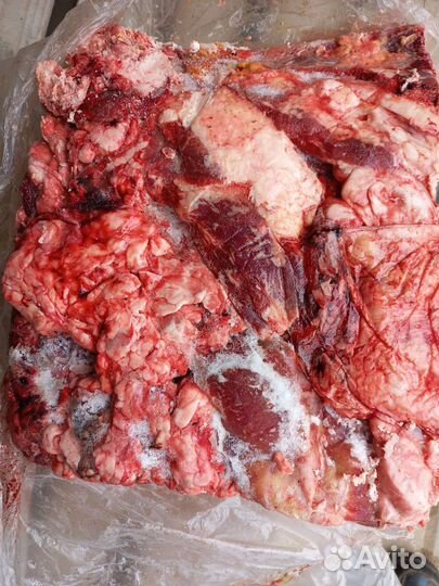 Мясо для животных