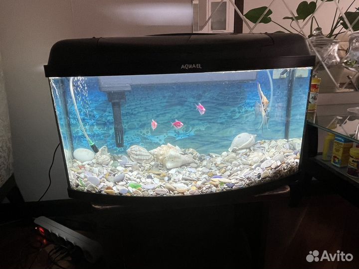 Аквариум 60 литров