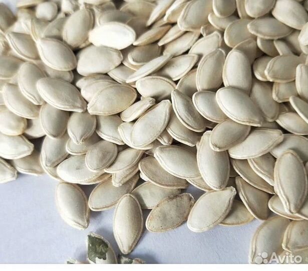 Семена тыквы