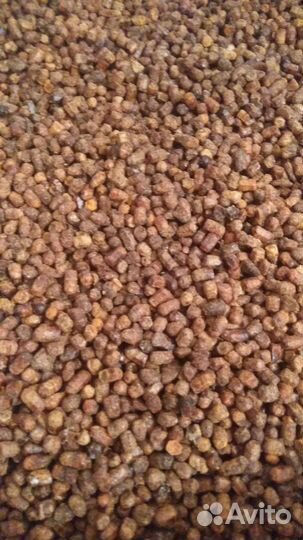 Перга пчелинная