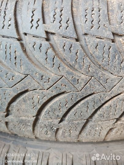 Nexen Winguard Snow G 175/70 R14 88