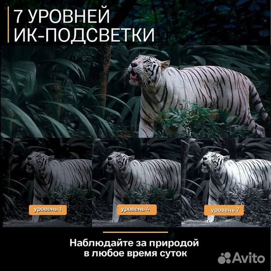 Прибор ночного видения пнв