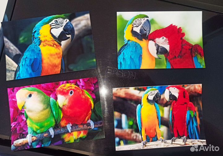 Мфу Epson px730wd 6-ти цветный с WiFi