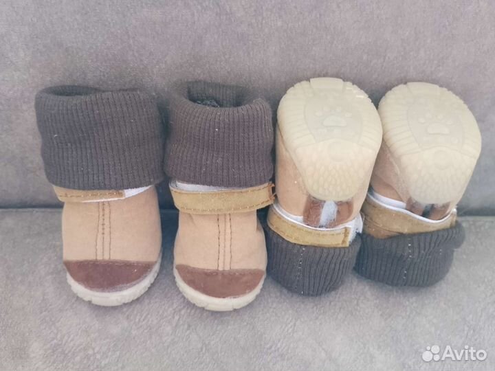 Обувь для собак