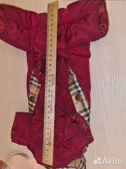 Комбезики для маленьких собак и шлейка на котенка