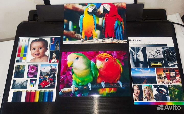 Мфу Epson xp 352 с бснпч и WiFi