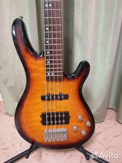 5-ти струнная, Активная Бас гитара