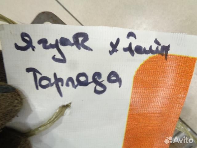 Усилитель торпедо Jaguar X-type 2001-2009