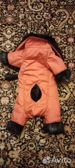 Комбинезон для маленькой собаки зима