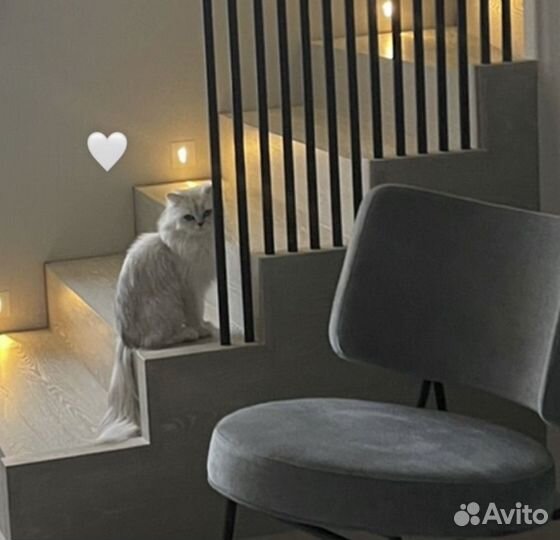 Вязка кошек