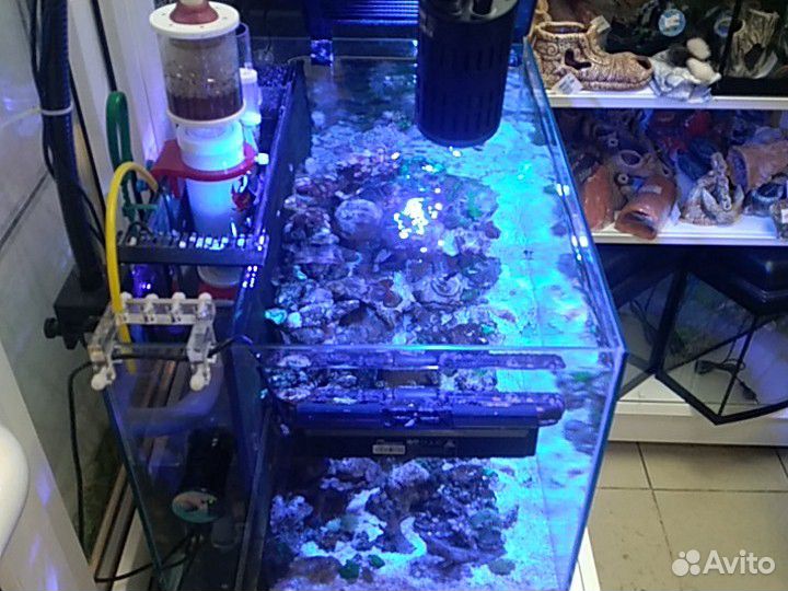 Ремонт аквариумов любой сложности