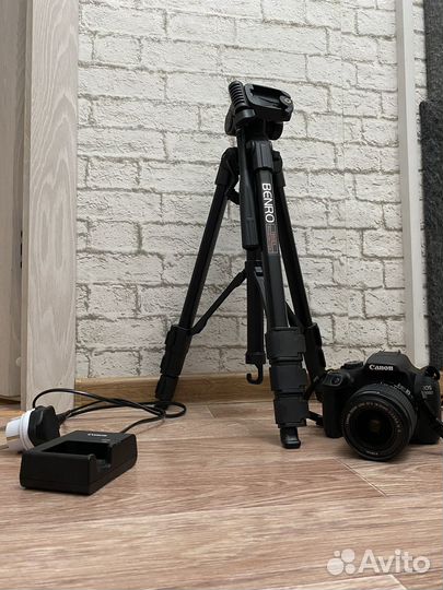 Зеркальный фотоаппарат canon eos 2000d