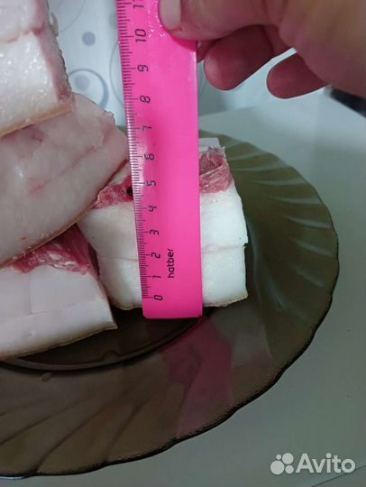 Сало свиное свежее