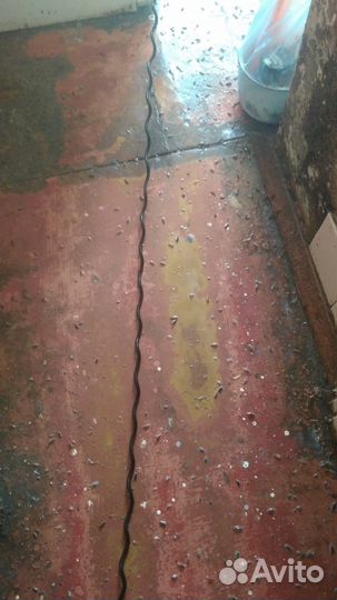 Уничтожение клопов, тараканов, муравьев