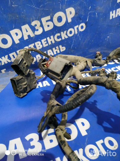 Жгут проводов эбу Газ Волга 31105 седан EDZ 2007