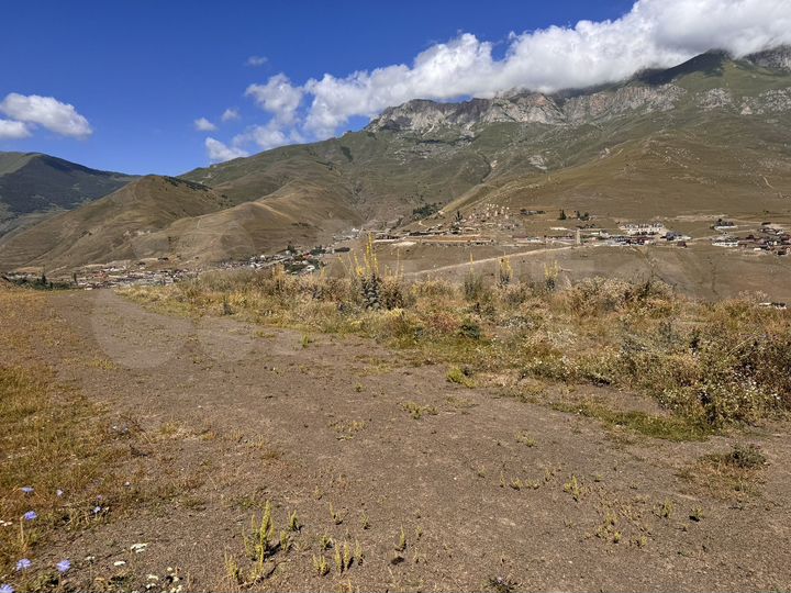 Участок 8 сот. (ИЖС)