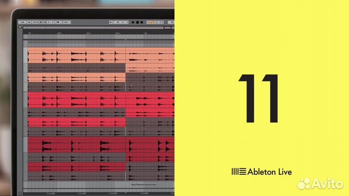 Ableton Live 11 Lite
