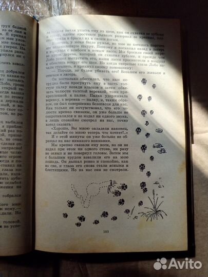 Сетон Томпсон 