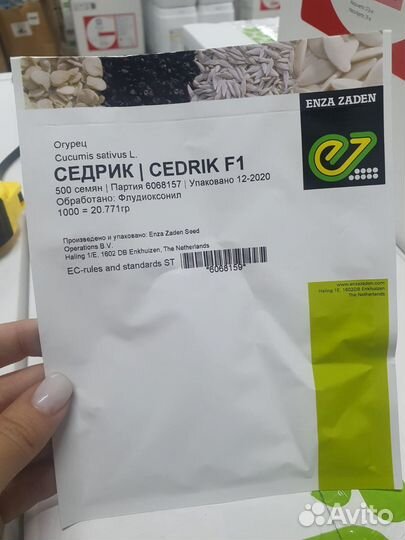 Семена огурец Седрик гибрид 500с Энза Заден
