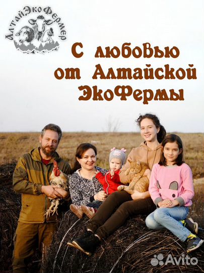 Масло гхи Алтая