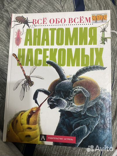 Книга анатомия насекомых