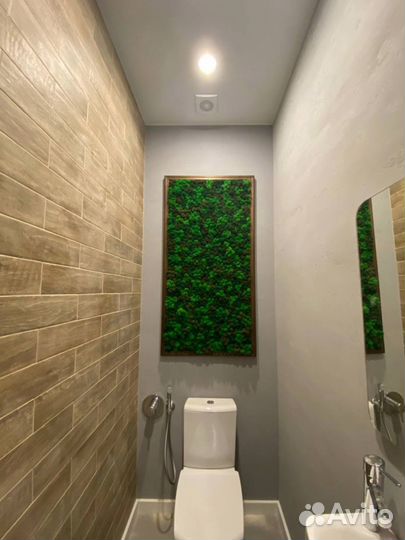 Озеленение мхом или зеленью