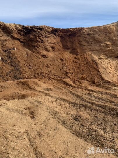 Опилок прелый