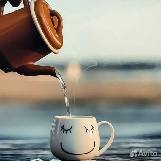 Репетитор русского языка