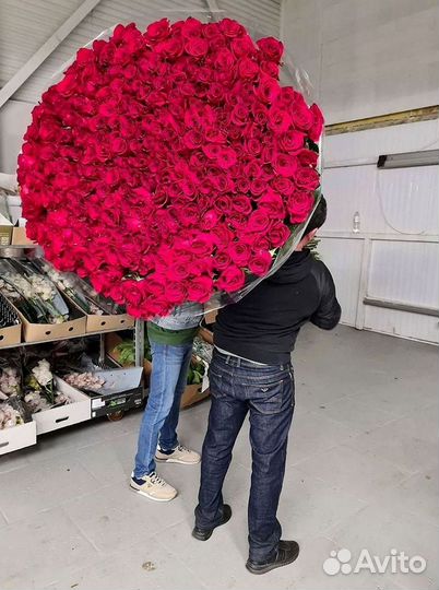Высокие Розы Гиганты Доставка Круглосуточно