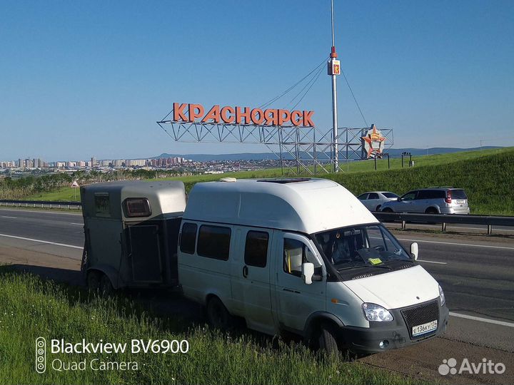 Перевозка животных,лошадей,жеребят и крс