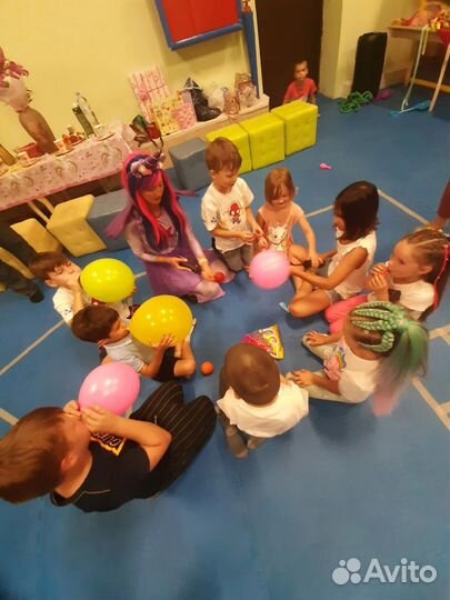 Аниматор, Ведущий