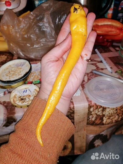 Перец, коллекционные сорта