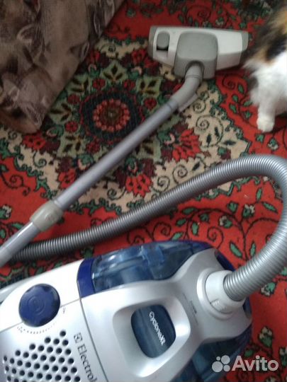 Пылесос Electrolux