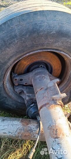 Оси саф saf бу