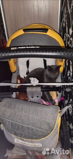 Коляска 2 в 1 бу