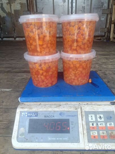 Морошка свежая с побережья Карского моря