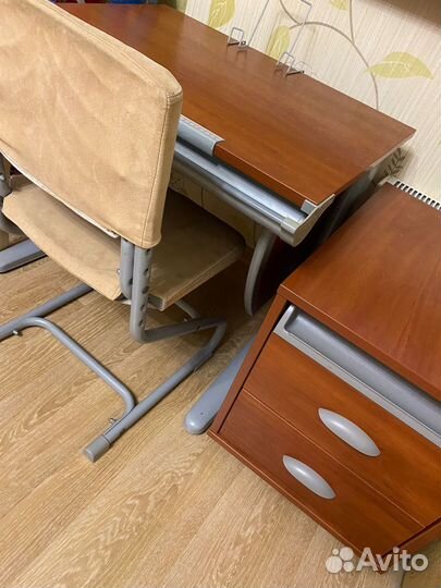 Растущая школьная мебель Дэми