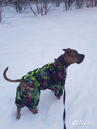 Зимний комбинезон на крупных собак